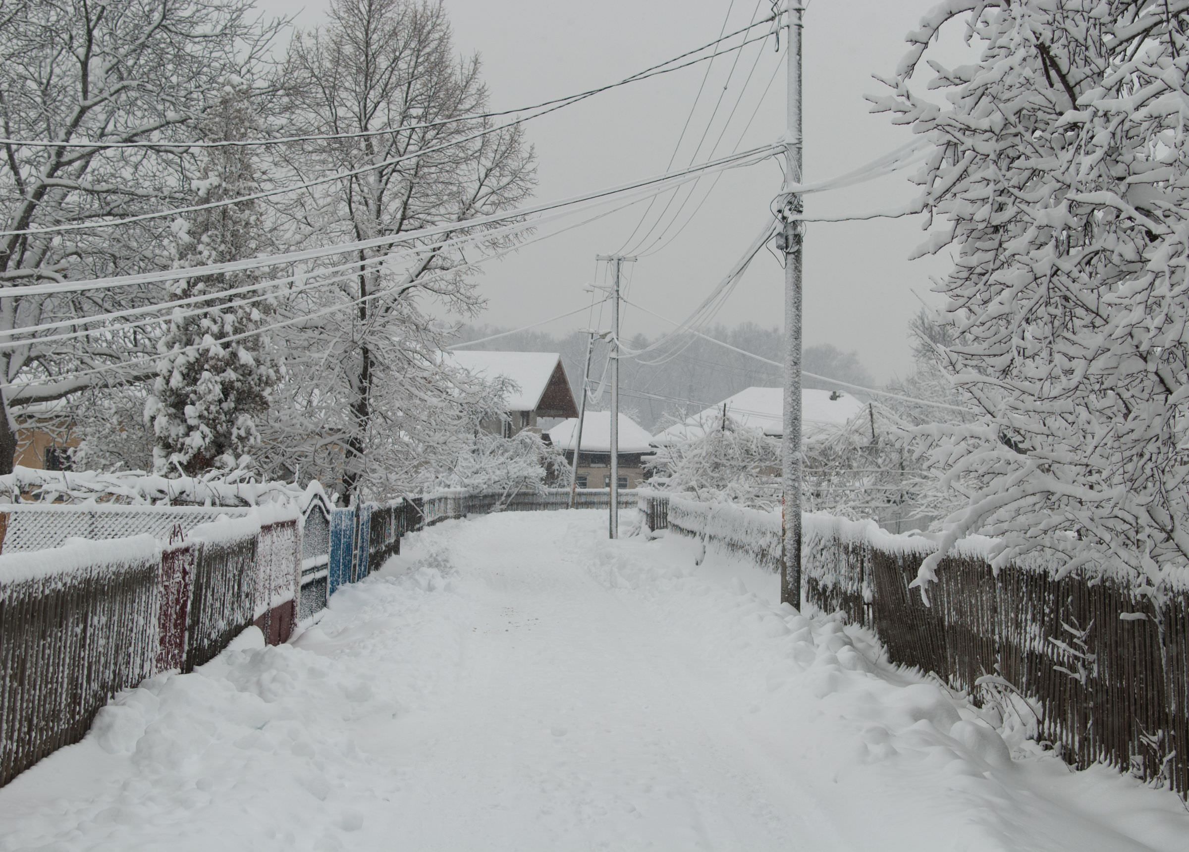 雪災は火災保険で補償される？請求の流れや注意点をチェック！